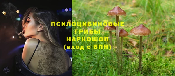 прущие грибы Арсеньев