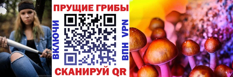 Галлюциногенные грибы ЛСД  Георгиевск 